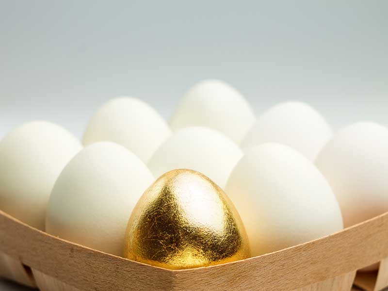 eggs in basket one gold