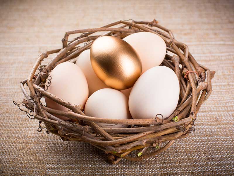 eggs in basket one golden