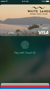 Setting Up Apple Pay