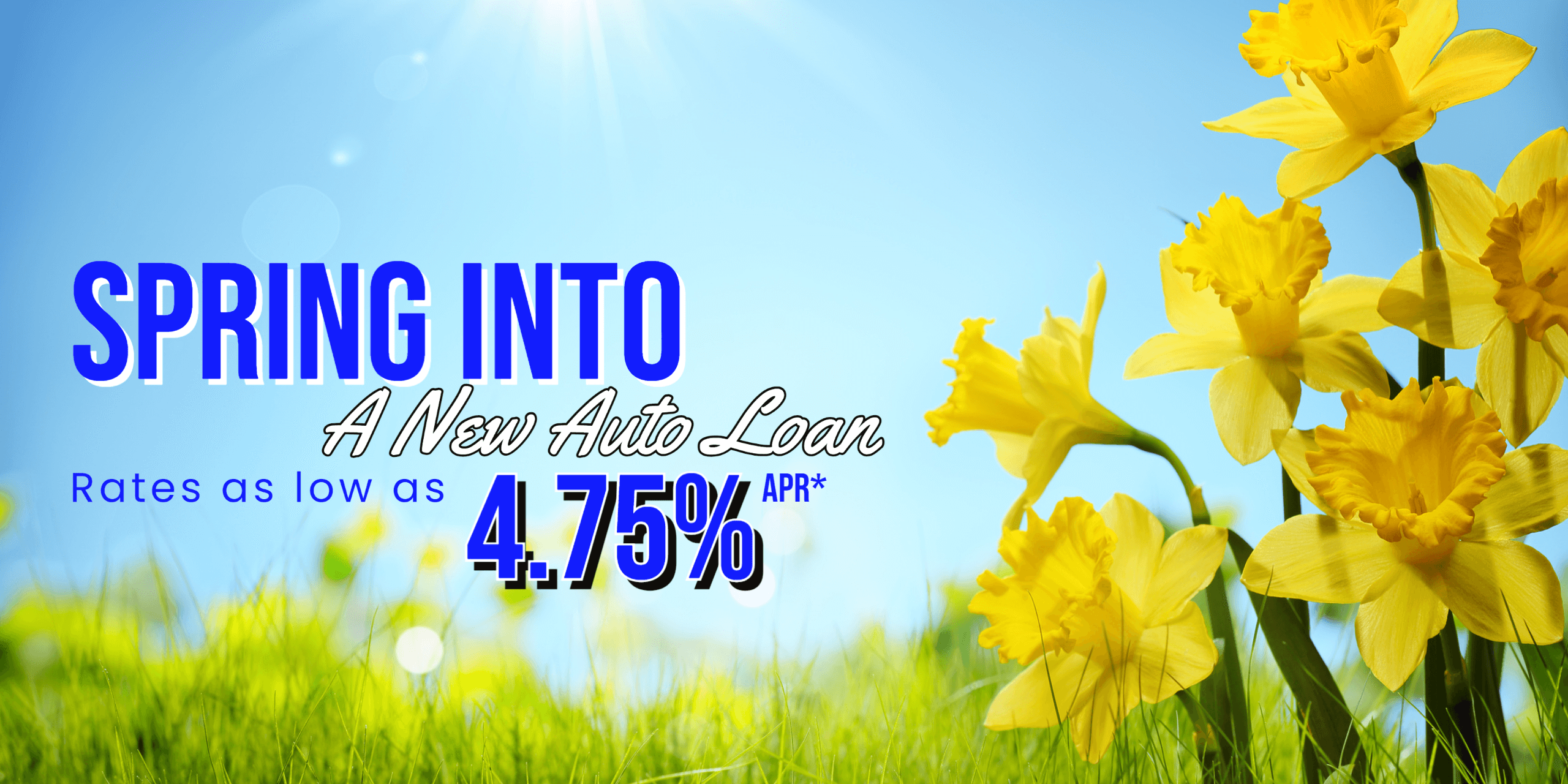 Spring auto loans banner with yellow flowers